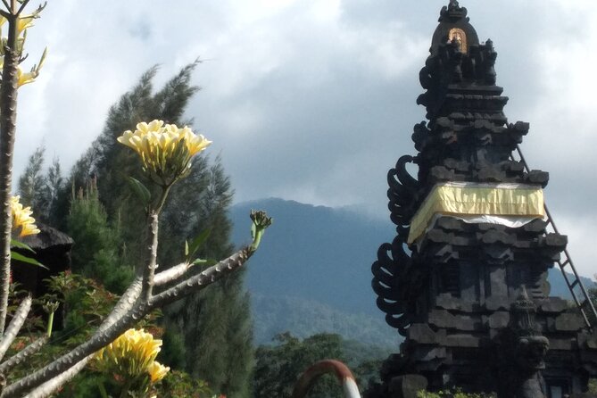 Jakarta Bogor Botanical Garden, Waterfall and Rice terrace, Lunch - Walking through the 1817 botanical gardens