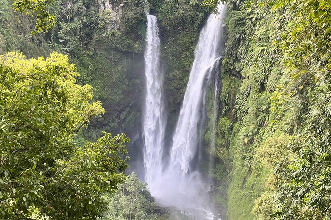 Jakarta Rainforest Hiking to Hidden Waterfall & Suspension Bridge - Key points before you book