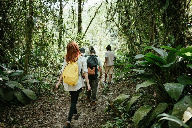 Jakarta Rainforest Hiking to Hidden Waterfall & Suspension Bridge - Curug Sawer and the 1.5-kilometer short track