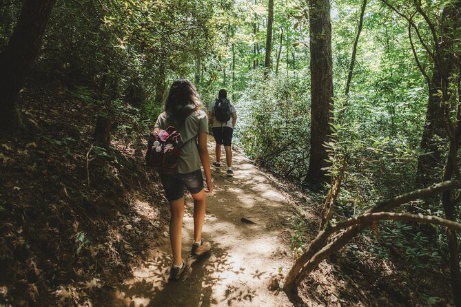 Jakarta Rainforest Hiking to Hidden Waterfall & Suspension Bridge - The 5-kilometer route into Gede Pangrango National Park