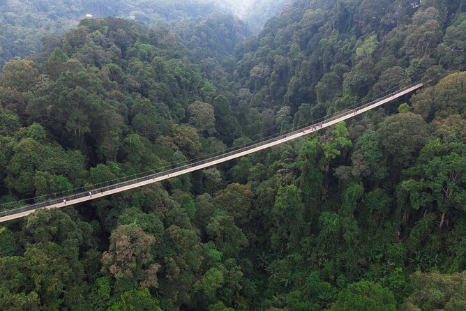 Jakarta Rainforest Hiking to Hidden Waterfall & Suspension Bridge - Is $133.79 a fair price?
