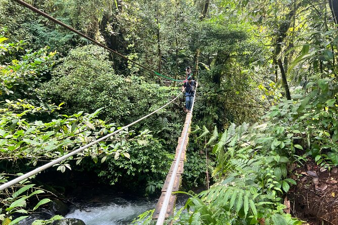 Jakarta Rainforest Hiking to Hidden Waterfall & Suspension Bridge - Who should book this rainforest day?