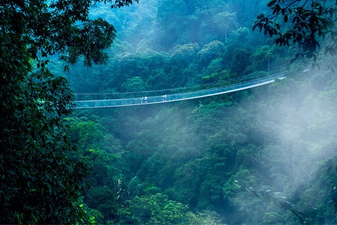 Jakarta Rainforest Hiking to Hidden Waterfall & Suspension Bridge - Walking 535 meters above the forest