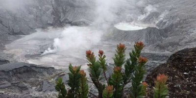 Volcano, Tea/Rice Fields, Hot Spring, Local Food