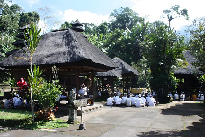 Jatiluwih VW Safari Bali Tour - Volkswagen Classic Car Trip - What the driver does, and what you may need to do