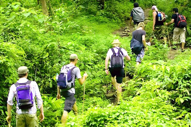 Jungle Trekking and Tamblingan Lake Canoeing in Bali Rainforest - A traditional canoe on sacred Tamblingan Lake