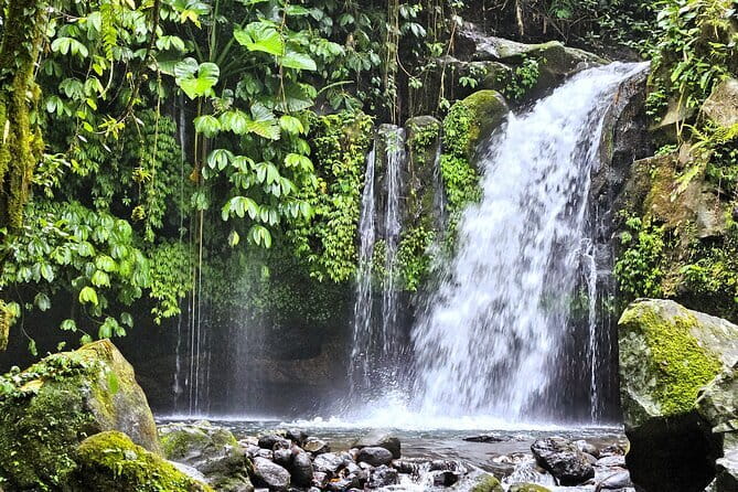 Jungle Trekking at Mt. Batukaru, scenic Waterfall & village life - Key points to know before booking