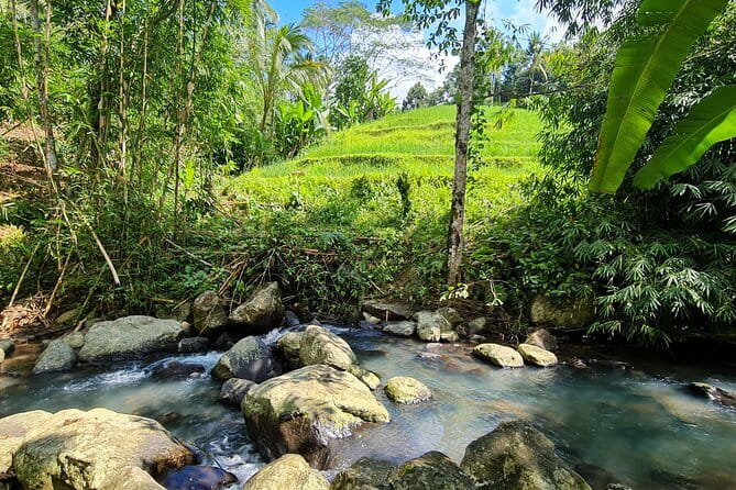 Jungle Trekking at Mt. Batukaru, scenic Waterfall & village life - The morning drive from Sanur to the mountain