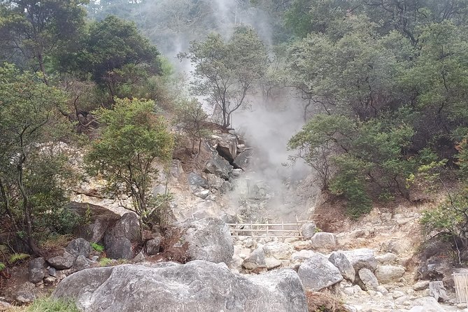 Kawah Putih tour - Day trip Ticket etc all including - Rancabali Tea Country and PTPN 8