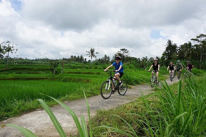 Kintamani Cultural and Nature Cycling Tour ( Manual Bike ) - Visiting a Balinese family home in Abuan