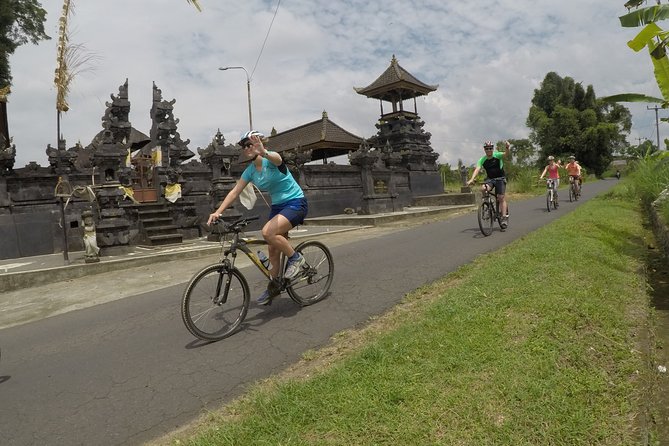 Kintamani Cultural and Nature Cycling Tour ( Manual Bike ) - A quick view of Tegallalang rice terraces