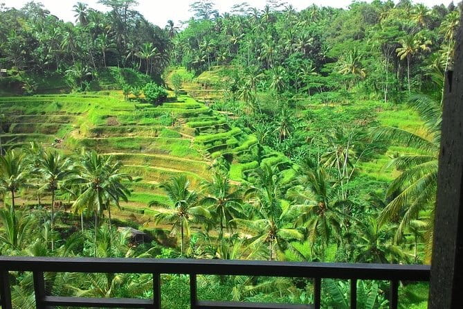 Kintamani Volcano View Tour - Susut offers a look at everyday agriculture