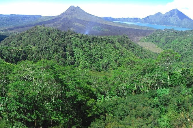 Kintamani Volcano View Tour - Tegalalang brings in Bali’s famous rice terraces