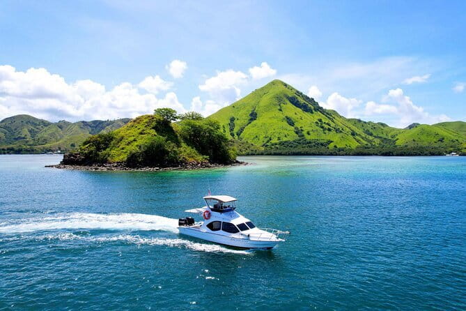 Komodo Island Adventure from Bali (Day Trip) - Why this Bali day trip works
