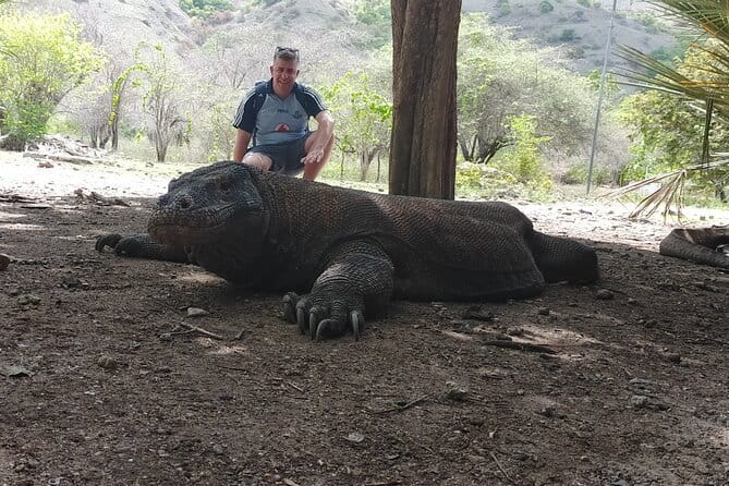 Komodo Island Adventure from Bali (Day Trip) - Manta Point and the luck factor
