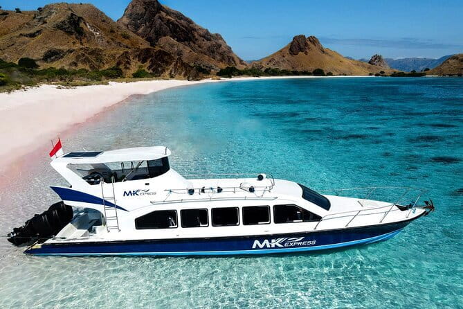 Komodo Islands with Speedboat in Labuhan Bajo - Komodo Island and the dragon walk