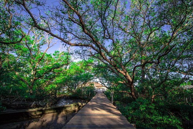 Kuta Beach eBike Private Tour - Turtle conservation and the environmental theme