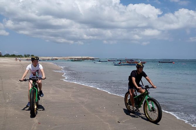 Kuta Beach eBike Private Tour - What the mangrove park teaches you