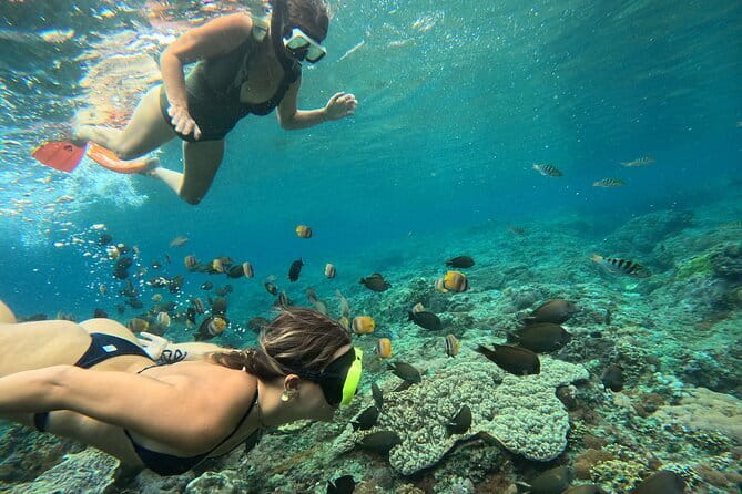 Lembongan Snorkeling at Manta Bay, Crystal Bay and Mangrove - Manta Bay is the reason to set the alarm