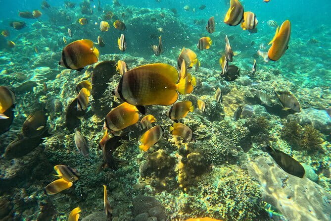 Lembongan Snorkeling at Manta Bay, Crystal Bay and Mangrove - The crew’s calm approach matters in open water