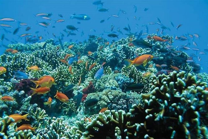 Lempuyang Gate of Heaven and City Tour - Who will enjoy this Bali tour most?
