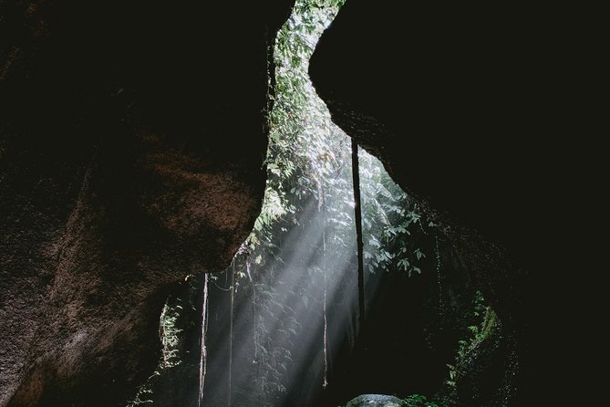 Lempuyang Gates of Heaven, Tirta Gangga Temple Swim & Jungle Waterfalls - What the $50 price really covers