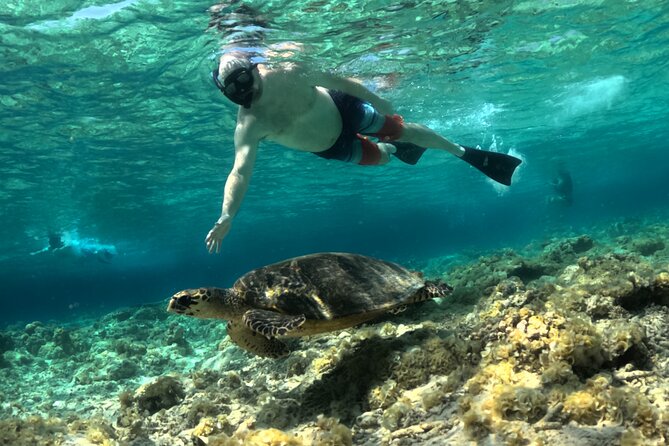 Lombok Driver Customizable Tour Private - Food, fruit, and the costs beyond $95