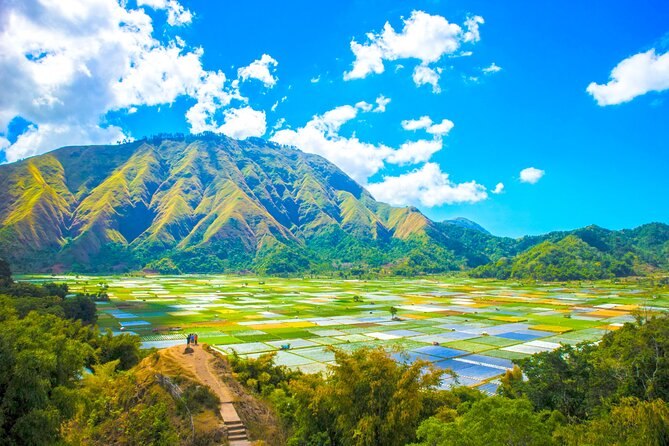Lombok: Exclusive Sendang Gile, Tiu Kelep & Selong Hill Tour - Sendang Gile Waterfall: a gentle first stop