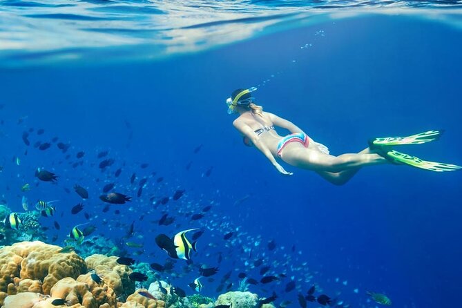 Lombok Pink Beach Boat Trip (Full Day + Snorkeling) - Gili Pasir, a sandbar that depends on the tide