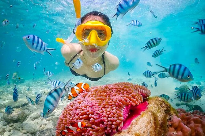 Lombok Pink Beach Boat Trip (Full Day + Snorkeling) - Lunch, equipment, and the small-group advantage
