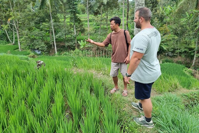 Lombok Private Customize Tour - How much can you cover in 10 hours?