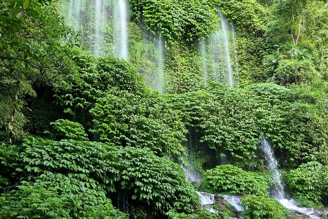 Lombok Private Customize Tour - The real value of the $45 price
