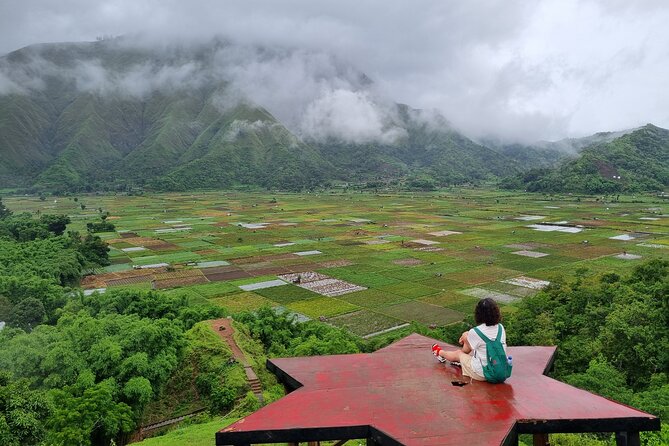 Lombok Private Customize Tour - Food, markets, fruit, and local stops