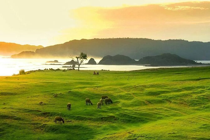 Lombok Tour For Cruise Passangers - How the $95 price works out
