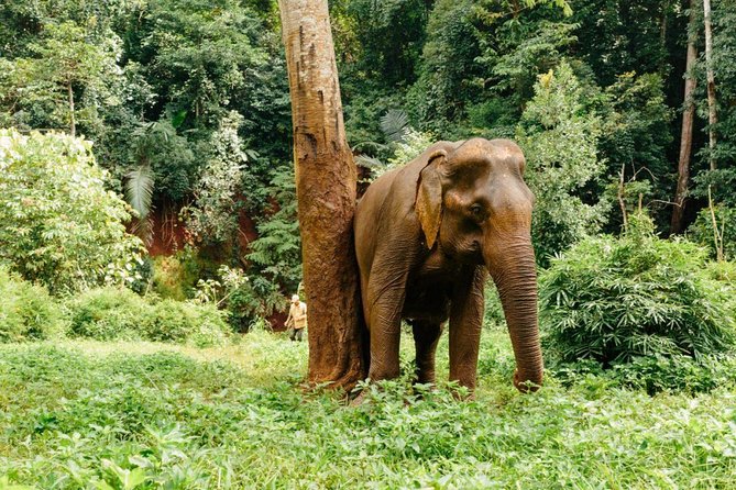 Lombok Wildlife Park Ticket - Why Lombok Wildlife Park is more than a quick zoo visit