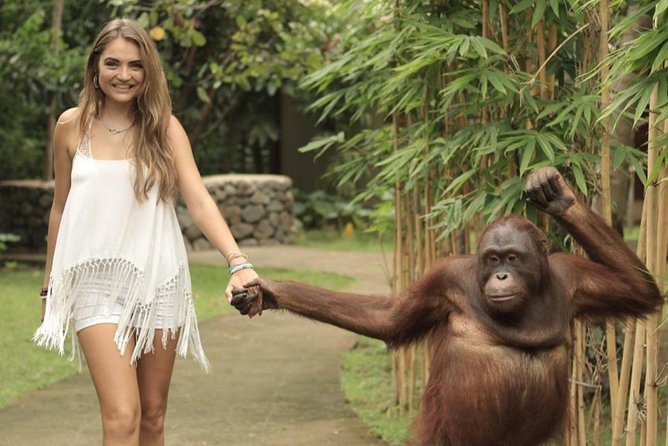 Lombok Wildlife Park Ticket - Meeting the orangutans