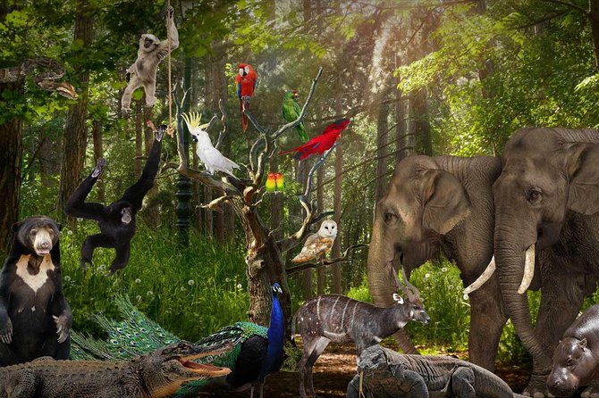 Lombok Wildlife Park Ticket - Lunch at the two on-site eateries