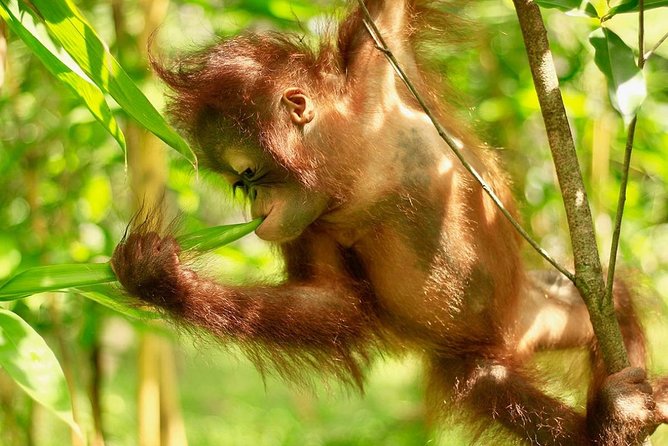 Lombok Wildlife Park Ticket - Who will enjoy this experience most?