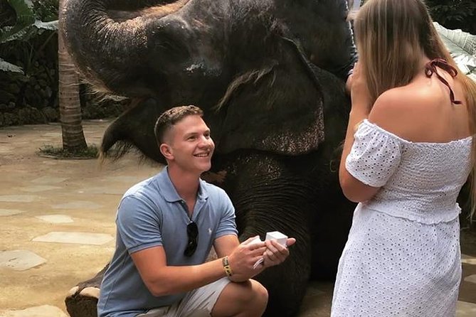 Lombok Wildlife Park Ticket - Walking through the rainforest-style animal areas