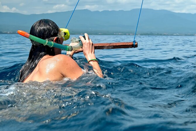 Lovina Dolphin Watching, Swimming, and Snorkeling Experience - The real appeal: wild dolphins at first light