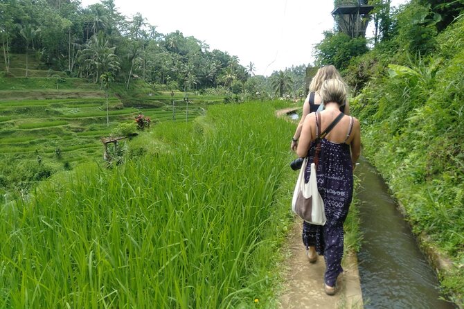 Magic Of Ubud Temple Swing And Waterfall Private Guided Tour - Tirta Empul and the meaning of the holy spring