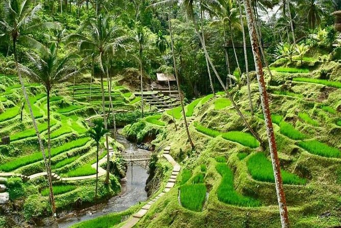 Magic Of Ubud Temple Swing And Waterfall Private Guided Tour - Happy Swing Bali and seven planned photo spots