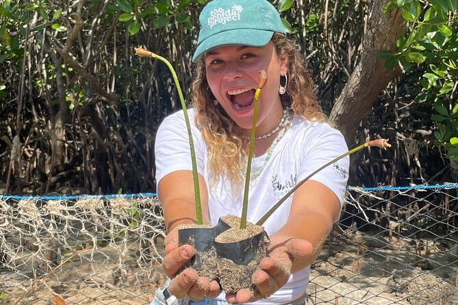 Mangrove Reforestation and Exploration around the Nusa Islands - What makes this Nusa Islands outing different