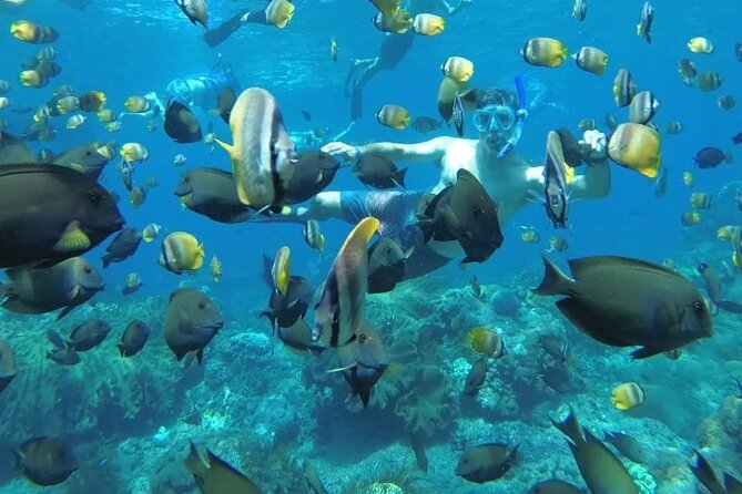 Manta Bay Snorkeling Adventure with Kelingking Beach Nusa Penida All Inclusive - Key Points at a Glance