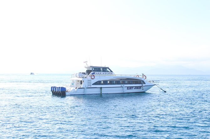 Manta Bay Snorkeling Adventure with Kelingking Beach Nusa Penida All Inclusive - Broken Beach and Angel’s Billabong