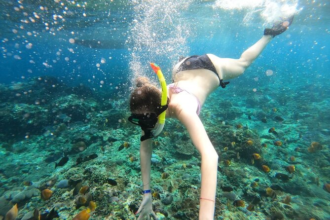 Manta Bay Snorkeling Adventure with Kelingking Beach Nusa Penida All Inclusive - Starting at Sanur Harbor