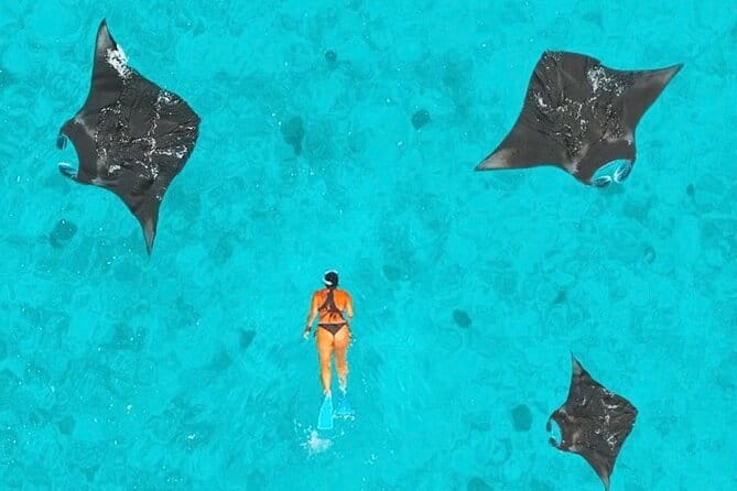 Manta Point Snorkeling & West Nusa Penida Island Day Tour - Manta Point is the reason to make the trip
