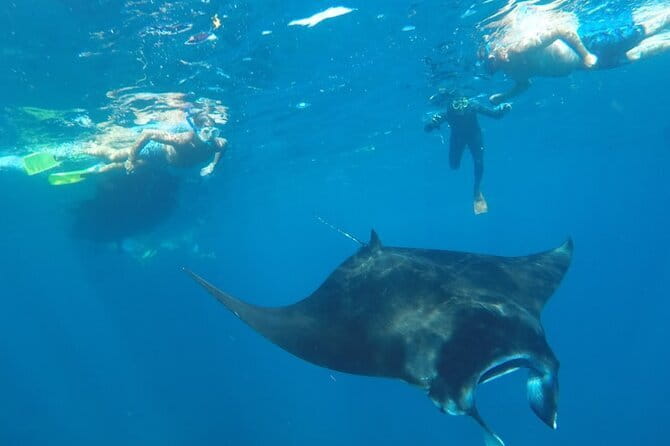 Manta Point Snorkeling & West Nusa Penida Island Day Tour - Angel’s Billabong needs caution