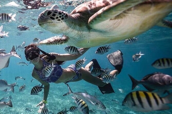 Manta Point Snorkeling & West Nusa Penida Island Day Tour - Who will enjoy this most