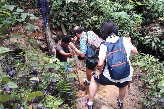 Medan - Bukit Lawang Fullday Tour - Leaving Medan in a private air-conditioned vehicle